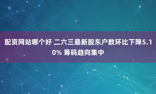 配资网站哪个好 二六三最新股东户数环比下降5.10% 筹码趋向集中