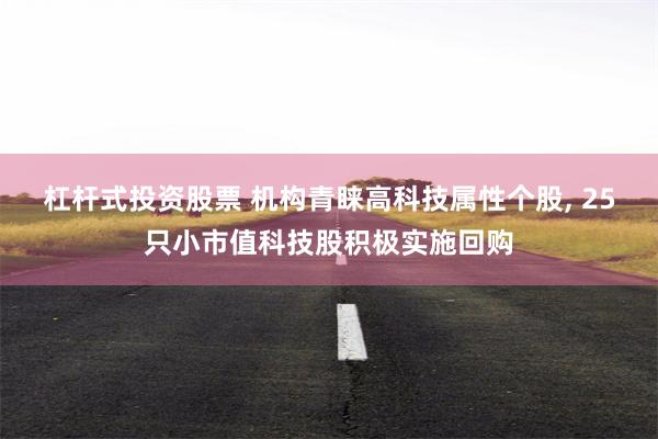 杠杆式投资股票 机构青睐高科技属性个股, 25只小市值科技股积极实施回购